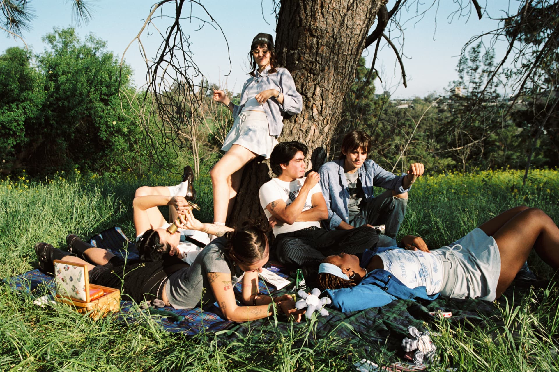 Janky Inc. SS25 — six friends picnicking under a tree on a sunny hillside
